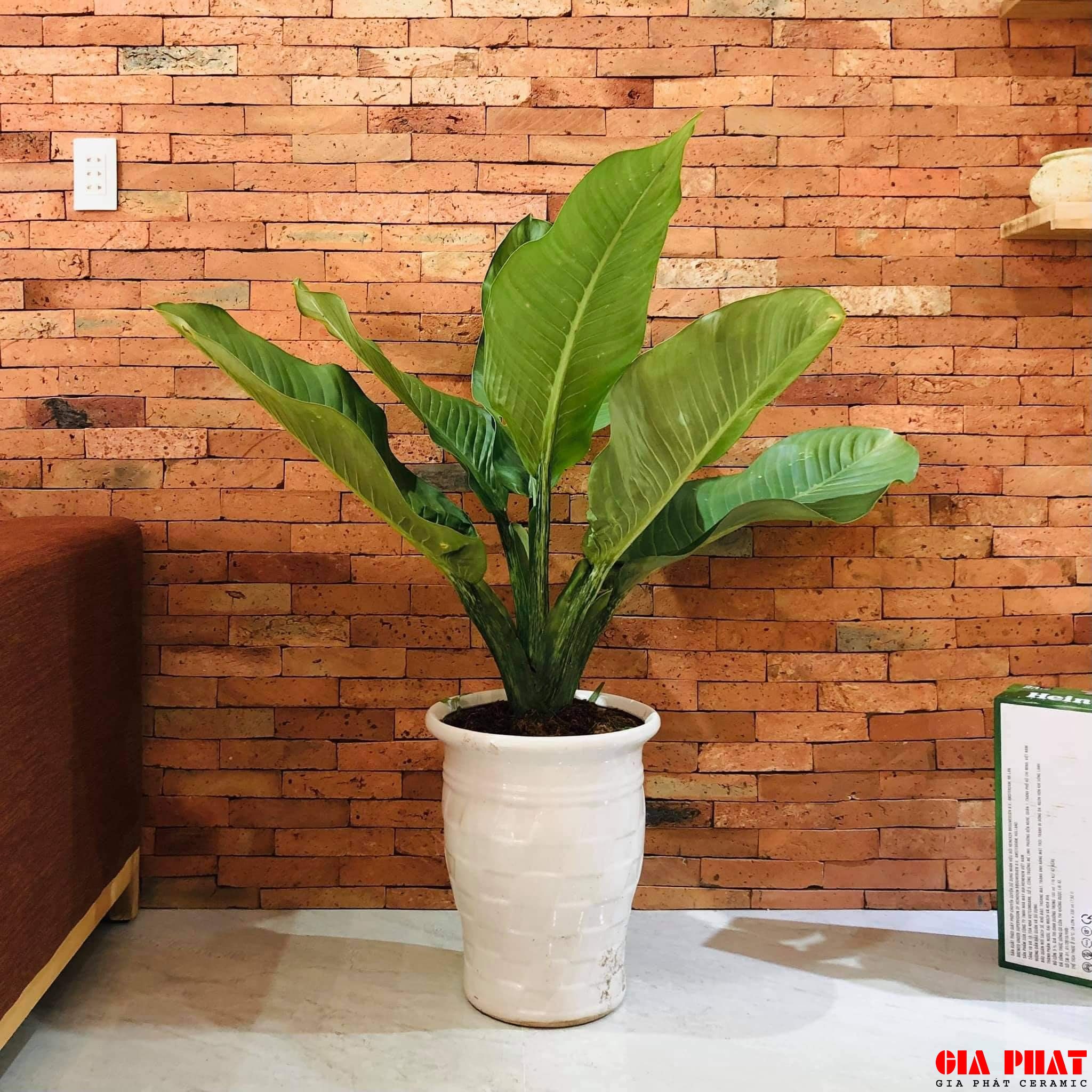 Gạch giả cổ và cách thi công đúng kỹ thuật.