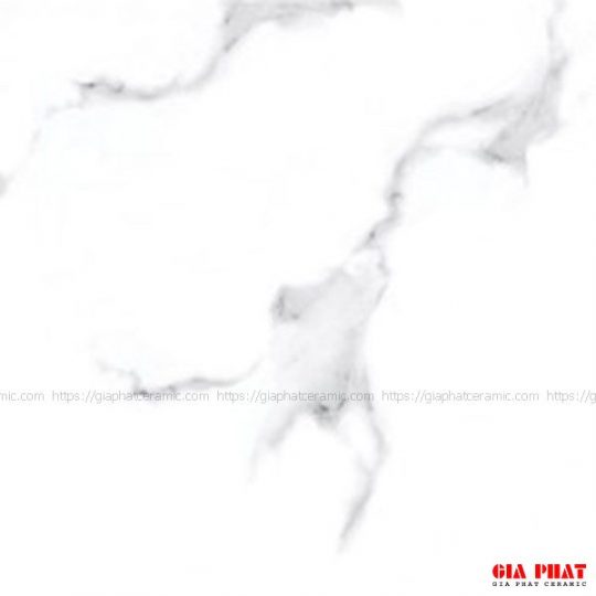 gach-taicera-gp68045.jpg