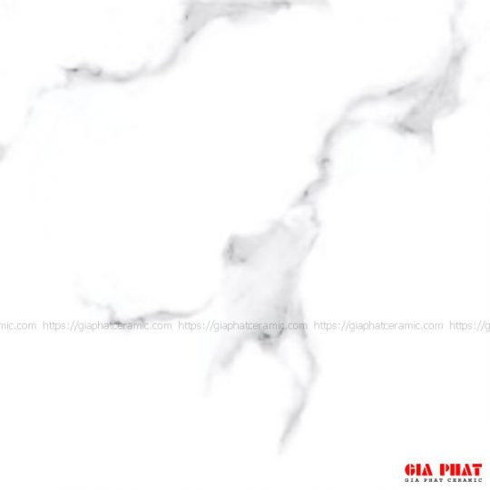 gach-taicera-gp68945.jpg