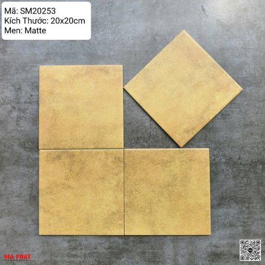 Gạch Bông Men 200x200 Nhập Khẩu GPDSSM20253