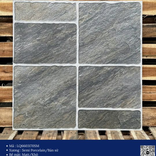 Gạch 60x60 Calido Men matt GP6603170SM
