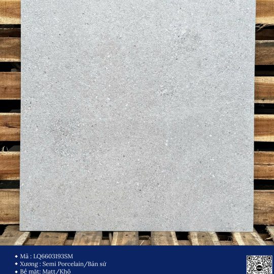 Gạch 60x60 Calido Men matt GP6603193SM