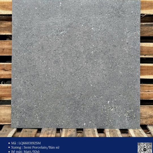 Gạch 60x60 Calido Men matt GP6603192SM