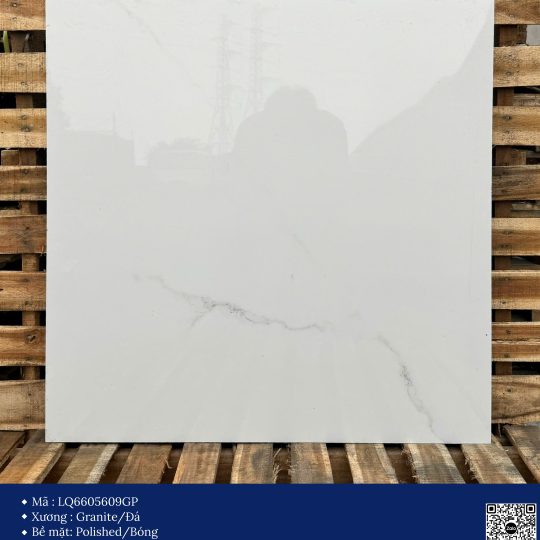 Gạch 60x60 Calido Men Bóng GP6605609GP