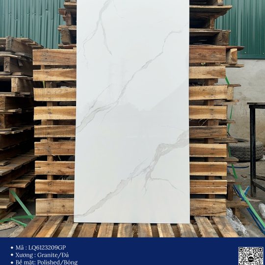 Gạch 60x120 Calido Men bóng GP6123209GP