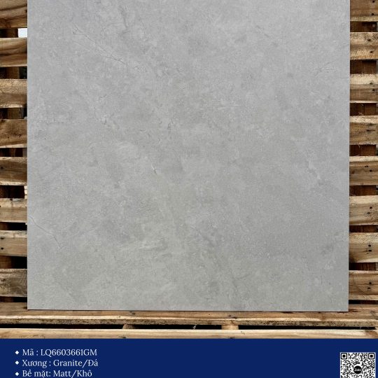 Gạch 60x60 Calido Men Matt GP6603661GM