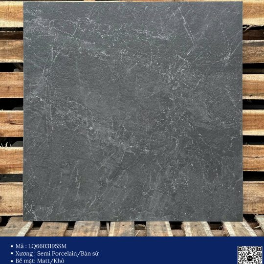 Gạch 60x60 Calido Men matt GP6603195SM