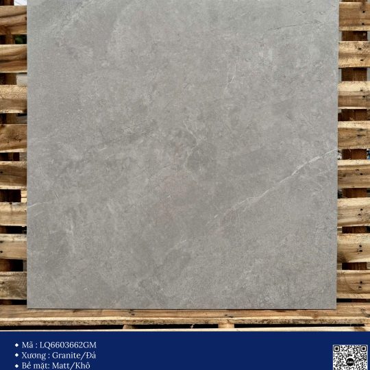 Gạch 60x60 Calido Men Matt GP6603662GM