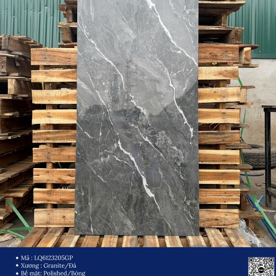 Gạch 60x120 Calido Men bóng GP6123205GP