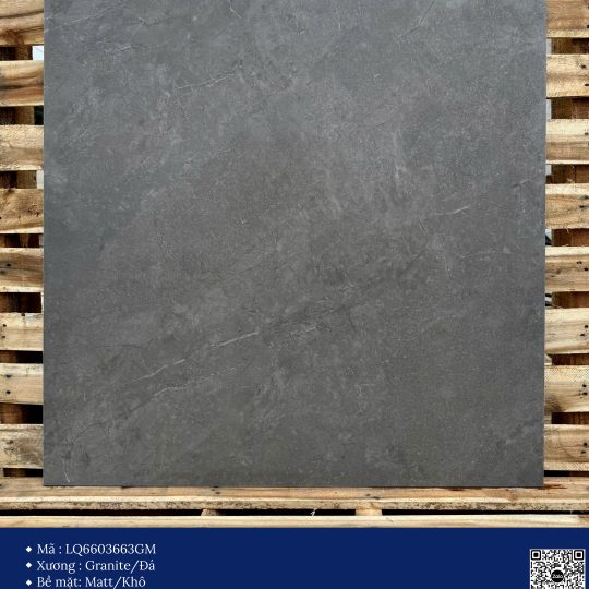 Gạch 60x60 Calido Men Matt GP6603663GM