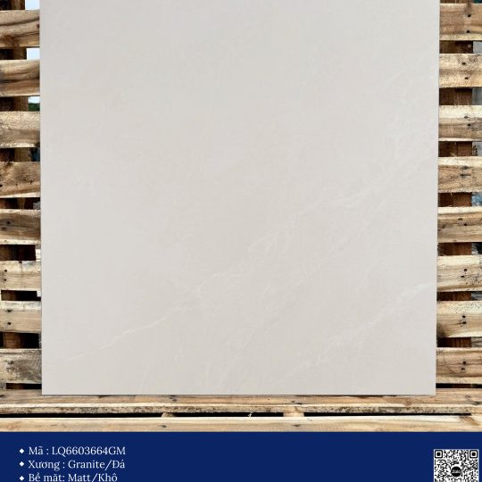 Gạch 60x60 Calido Men Matt GP6603664GM