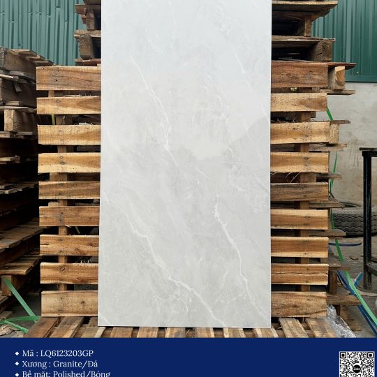 Gạch 60x120 Calido Men bóng GP6123203GP