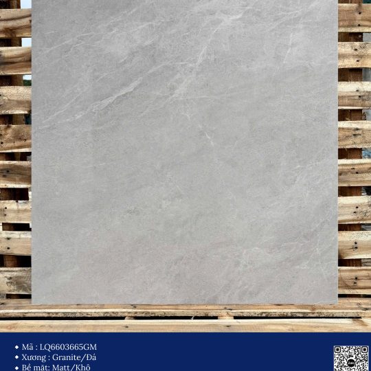 Gạch 60x60 Calido Men Matt GP6603665GM