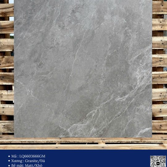 Gạch 60x60 Calido Men Matt GP6603666GM