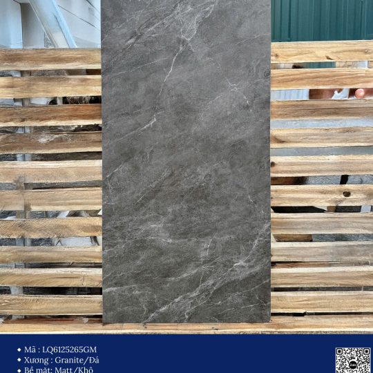 Gạch 60x120 Calido Men matt GP6125265GM