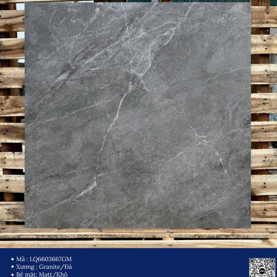 Gạch 60x60 Calido Men Matt GP6603667GM