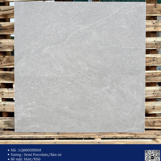 Gạch 60x60 Calido Men matt GP6605191SM
