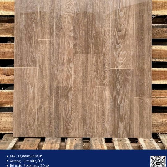 Gạch 60x60 Calido Men bóng GP6605610GP