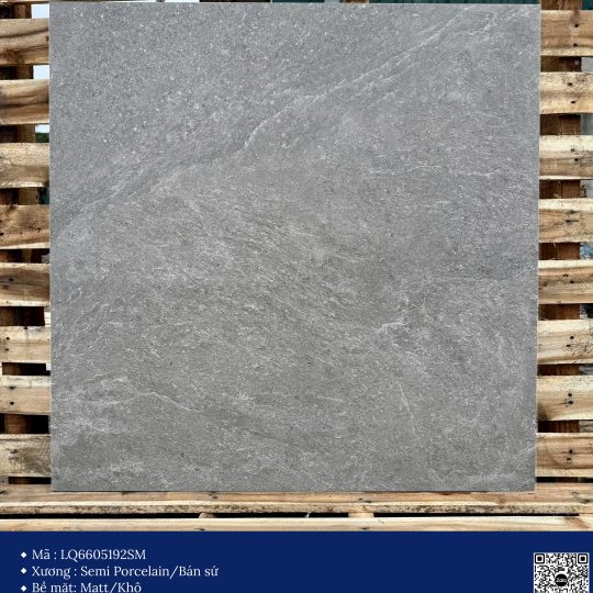 Gạch 60x60 Calido Men matt GP6605192SM
