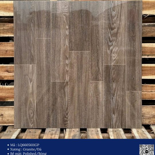 Gạch 60x60 Calido Men bóng GP6605611GP