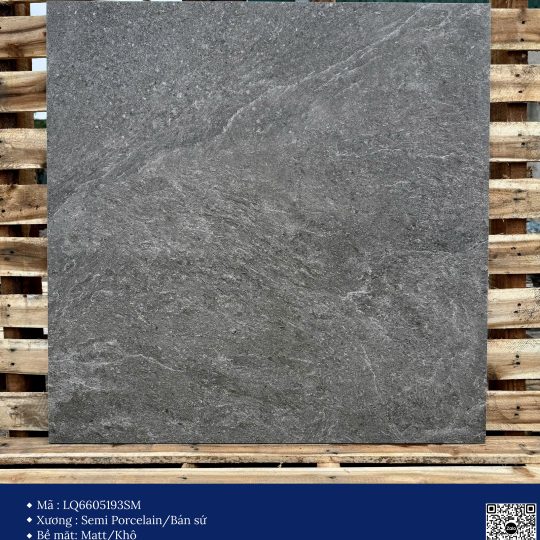 Gạch 60x60 Calido Men matt GP6605193SM