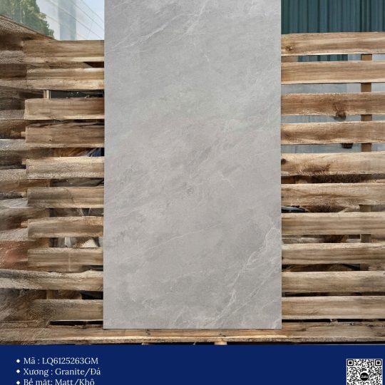 Gạch 60x120 Calido Men matt GP6125263GM