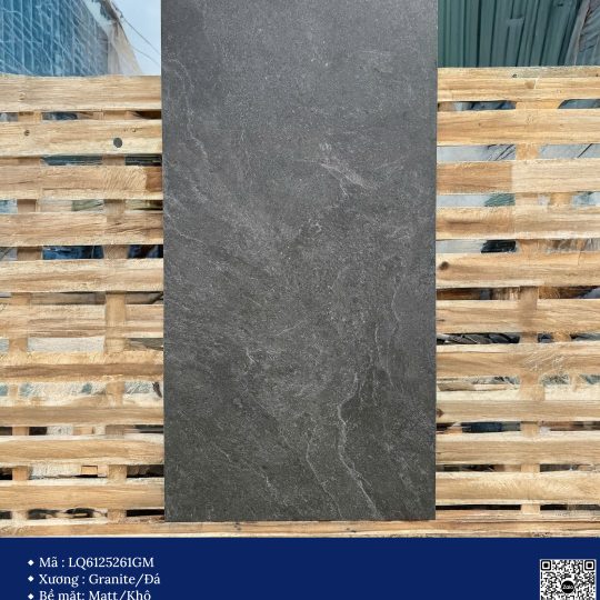Gạch 60x120 Calido Men matt GP6125261GM