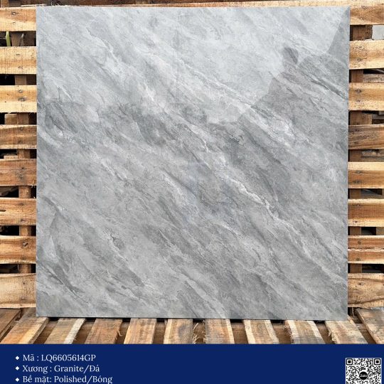 Gạch 60x60 Calido Men bóng GP6605614GP