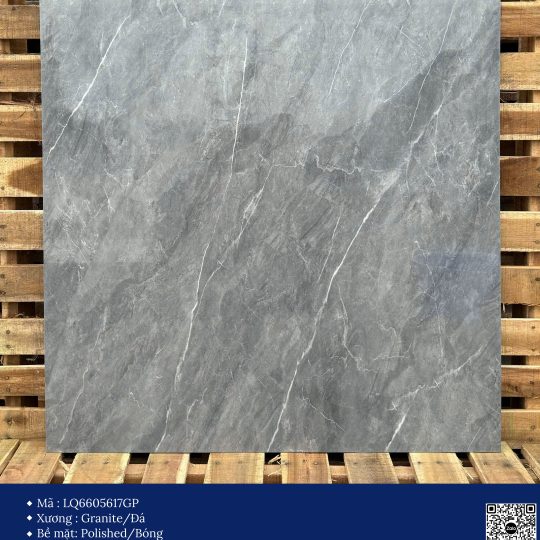 Gạch 60x60 Calido Men bóng GP6605617GP