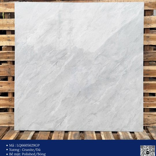 Gạch 60x60 Calido Men bóng GP6605629GP